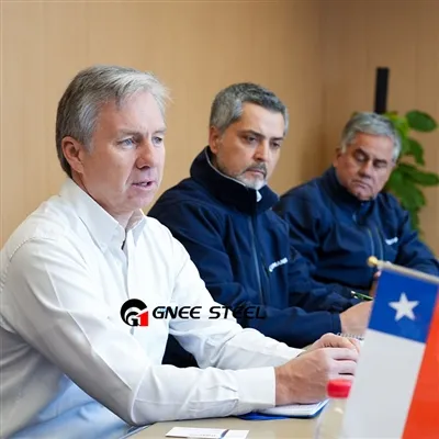 Chilean Customers Come To GNEE STEEL Chilean Customers Come To GNEE STEEL